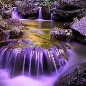 Meet your Posher, Darryl